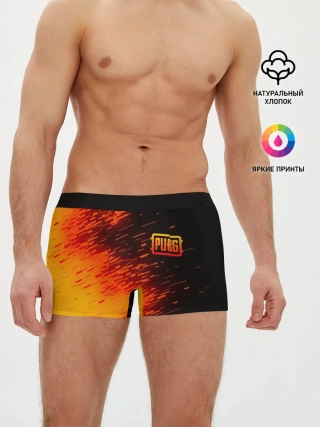 Мужские трусы боксеры / PUBG
