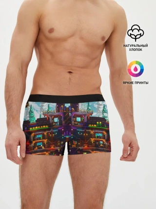 Мужские трусы боксеры / Terraria