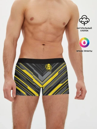 Мужские трусы боксеры / Rainbow Six Siege