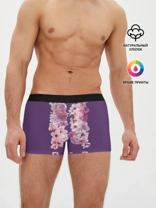 Мужские трусы боксеры / BTS