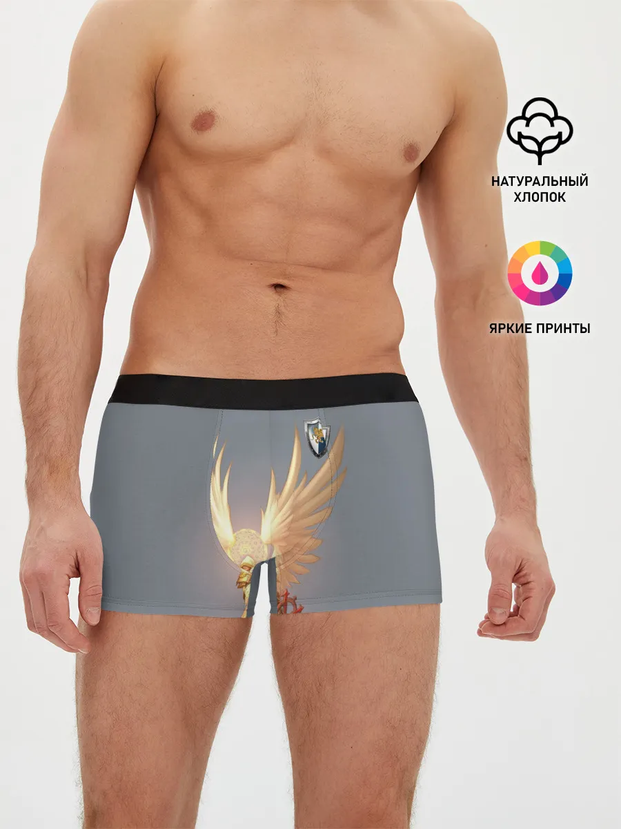 Мужские трусы боксеры / Heroes of Might and Magic