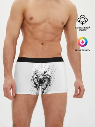 Мужские трусы боксеры / Лев