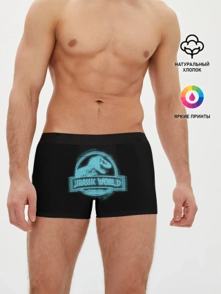 Мужские трусы боксеры / Jurassic World