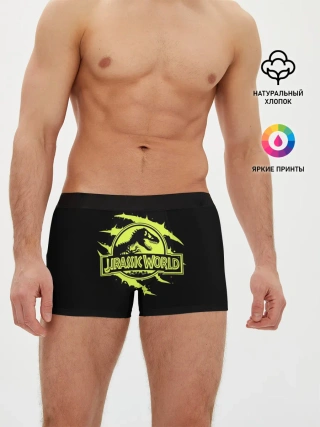 Мужские трусы боксеры / Jurassic World