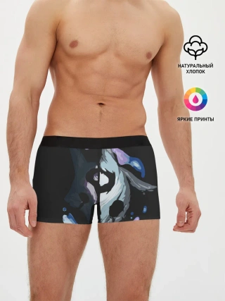Мужские трусы боксеры / League of Legends