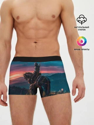 Мужские трусы боксеры / The Witcher