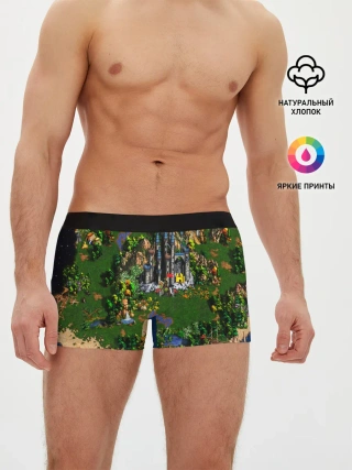 Мужские трусы боксеры / Heroes of Might and Magic