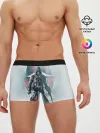 Мужские трусы боксеры / Assassins Creed: Rogue