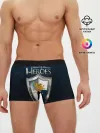 Мужские трусы боксеры / Heroes of Might and Magic