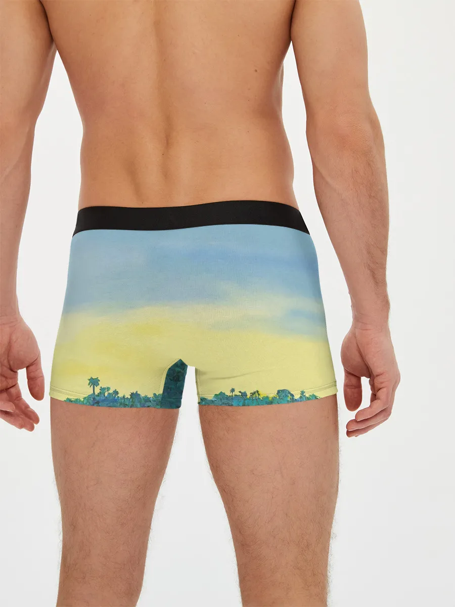 Мужские трусы боксеры / Вертолеты