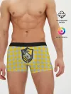 Мужские трусы боксеры / Coat of Hufflepuff