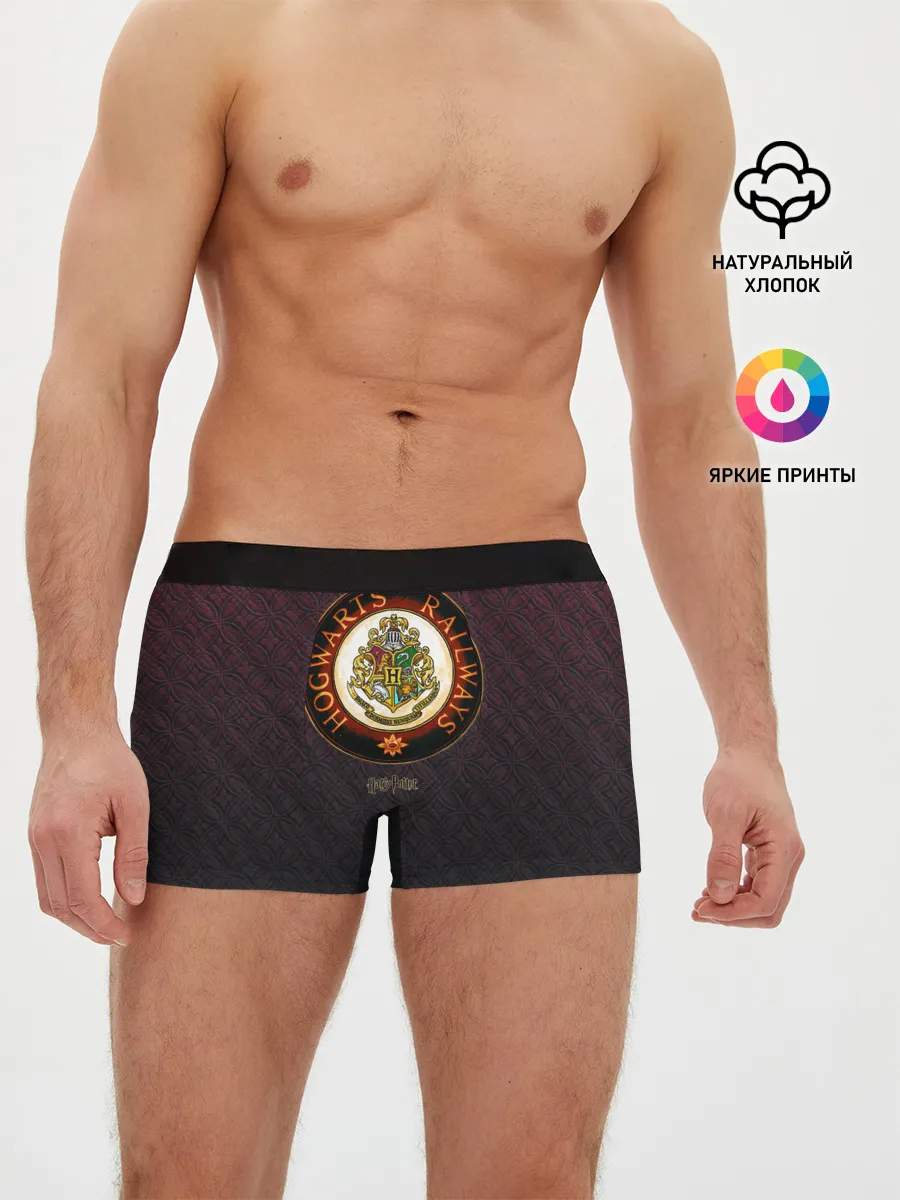 Мужские трусы боксеры / Coat of Hogwarts