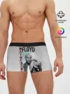 Мужские трусы боксеры / Флойд Мейвезер