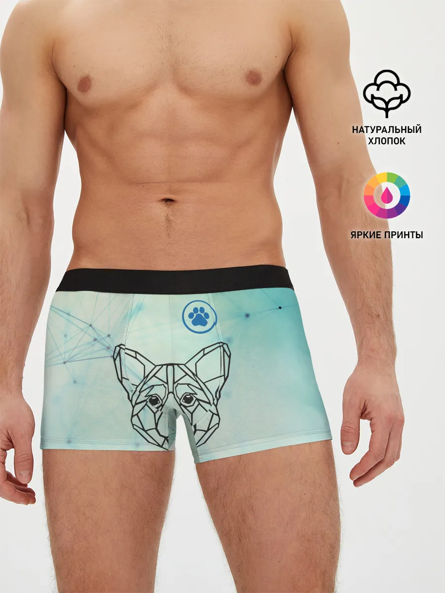 Мужские трусы боксеры / Корги