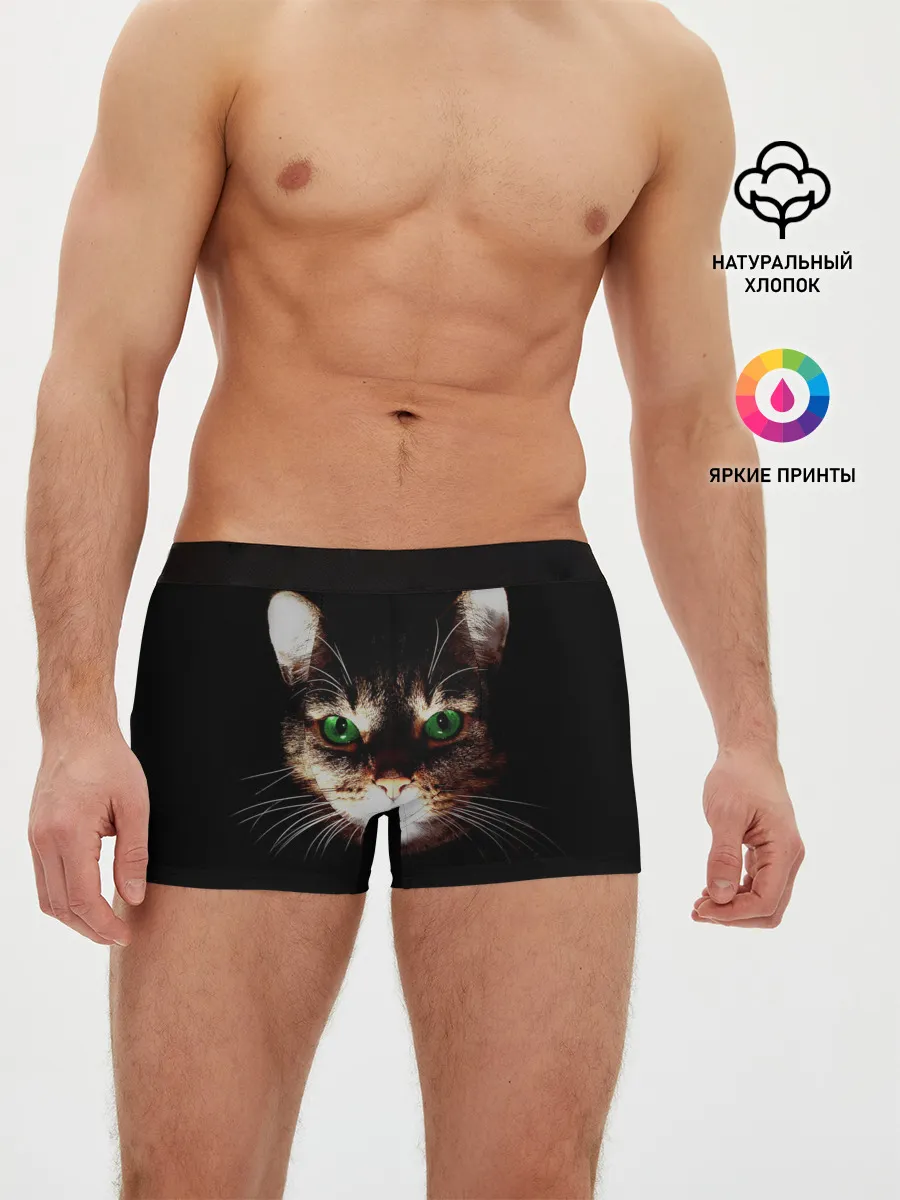 Мужские трусы боксеры / Зеленоглазый кот