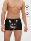Мужские трусы боксеры / Зеленоглазый кот