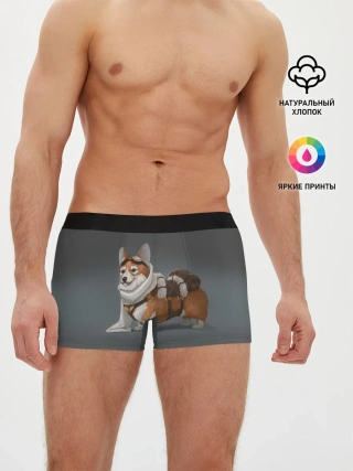 Мужские трусы боксеры / КОРГИ ПИЛОТ