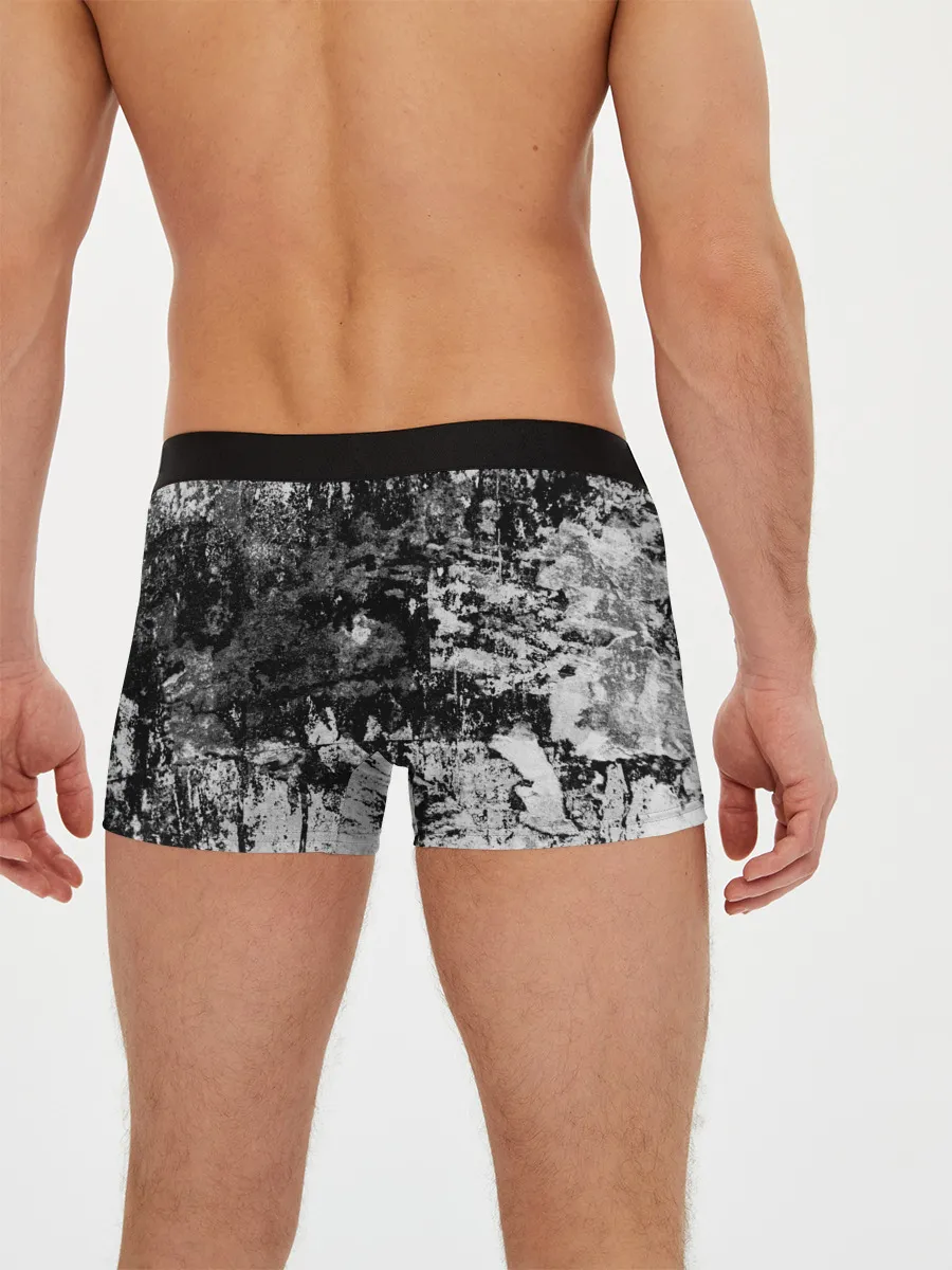 Мужские трусы боксеры / Green Day - Father of All MF