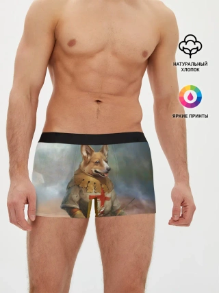 Мужские трусы боксеры / КОРГИ ЛУЧНИК