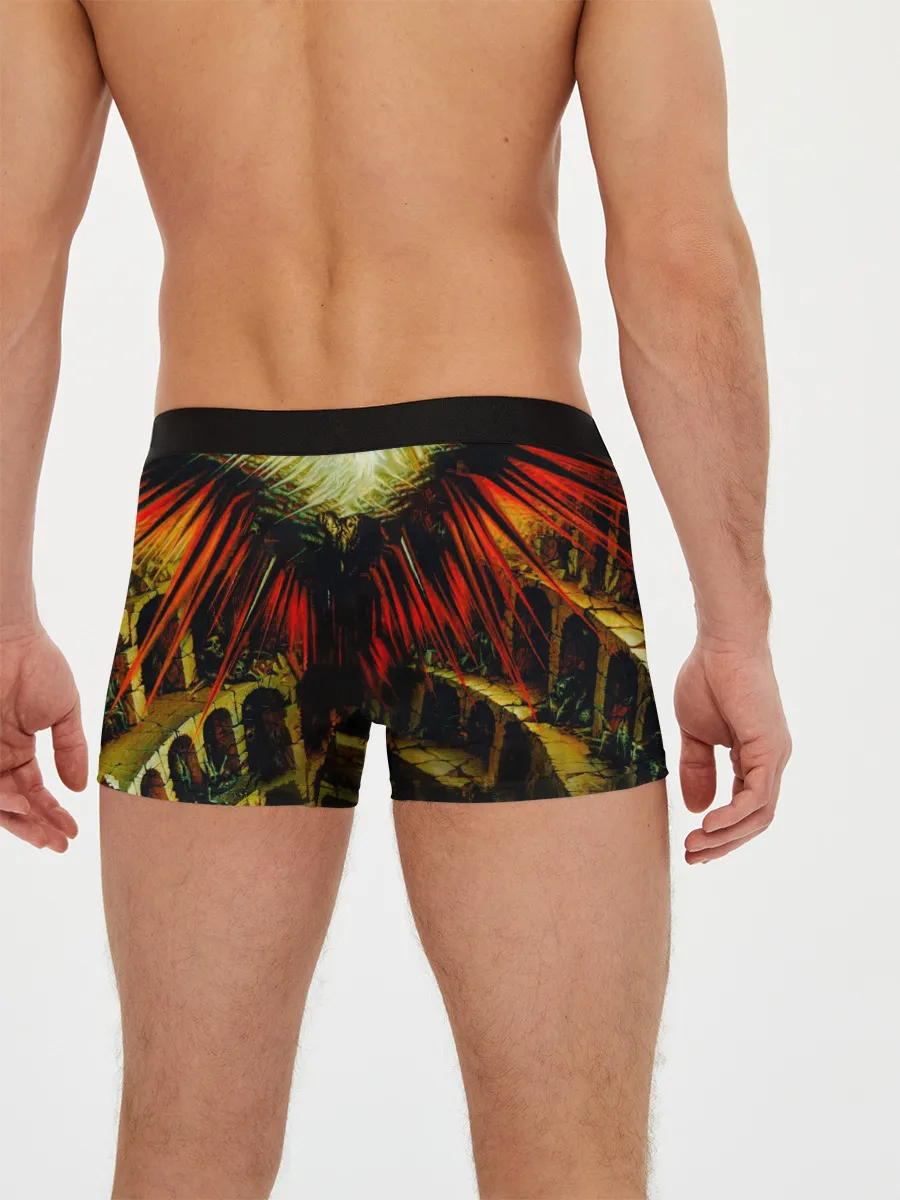 Мужские трусы боксеры / Ария