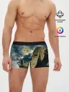Мужские трусы боксеры / Войска связи