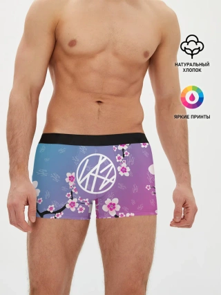 Мужские трусы боксеры / Stray Kids