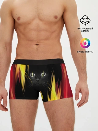 Мужские трусы боксеры / Грозовой кошак