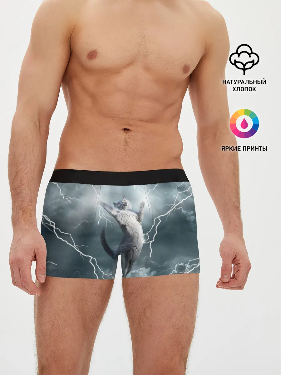 Мужские трусы боксеры / Грозовой кошак.