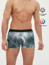 Мужские трусы боксеры / Грозовой кошак.