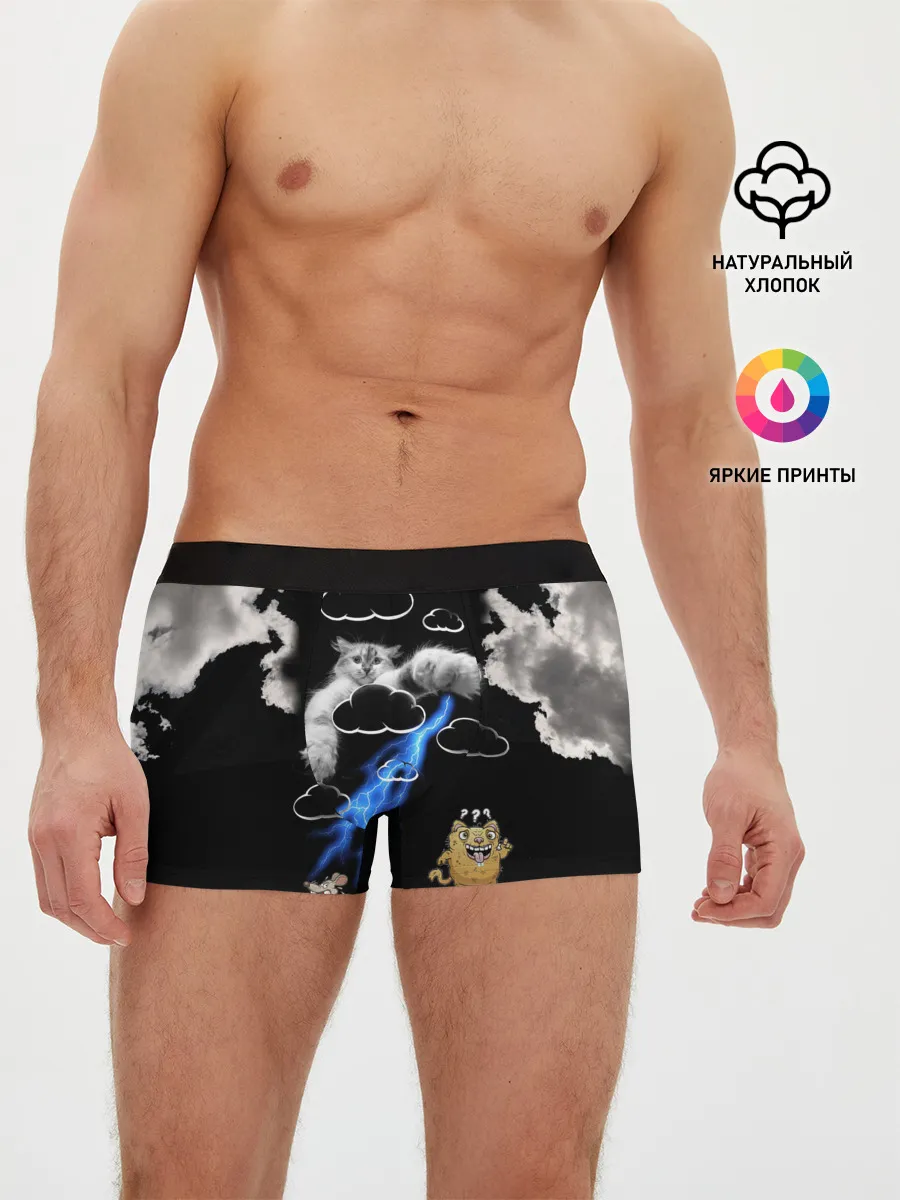 Мужские трусы боксеры / Грозовой, кошак