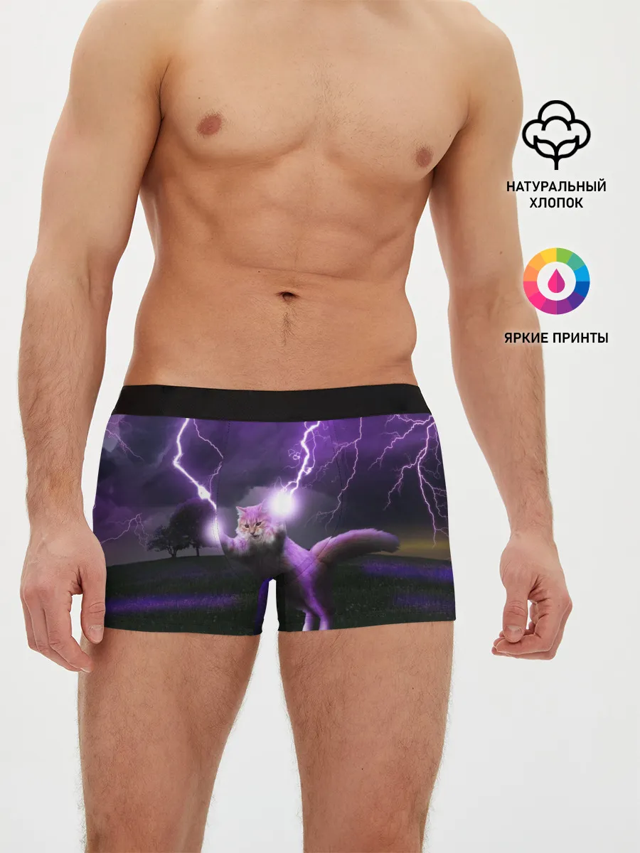 Мужские трусы боксеры / Кот и Молнии