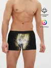 Мужские трусы боксеры / Волчий тотем