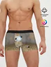Мужские трусы боксеры / Земляной кошак с расенганом
