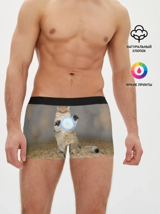 Мужские трусы боксеры / Земляной кошак с расенганом