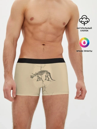 Мужские трусы боксеры / Triceratops skeleton