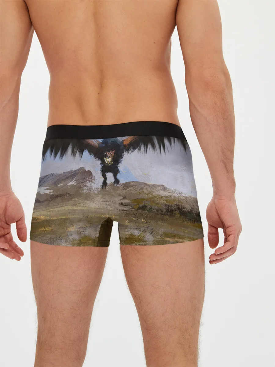 Мужские трусы боксеры / ВЕДЬМАК