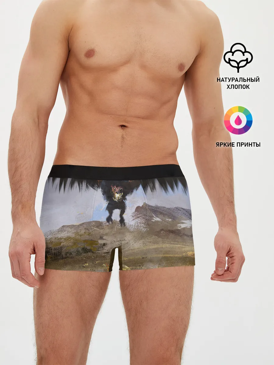 Мужские трусы боксеры / ВЕДЬМАК