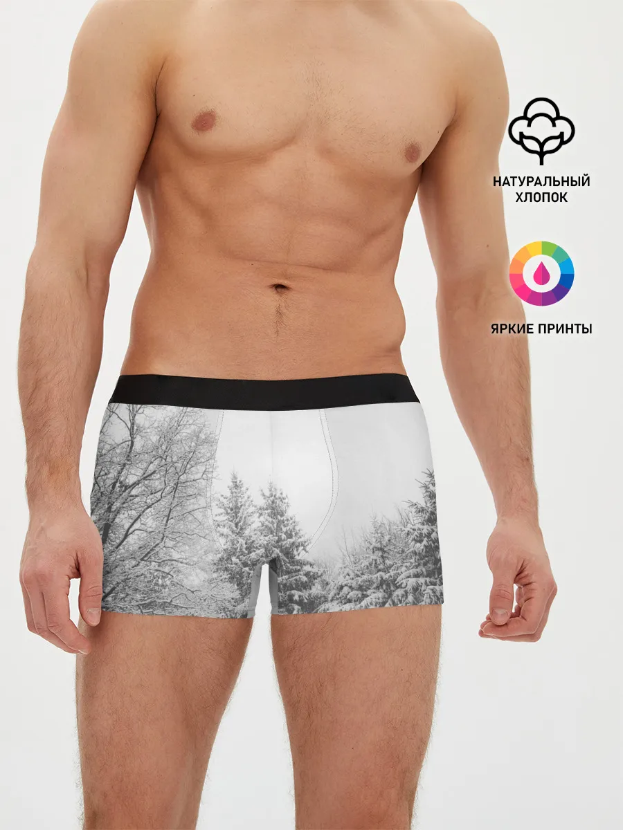 Мужские трусы боксеры / Winter Storm