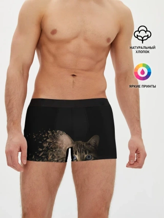 Мужские трусы боксеры / Disintegrating Cat