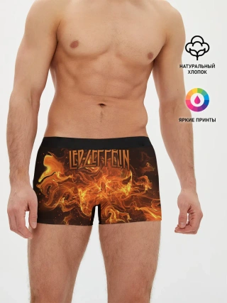 Мужские трусы боксеры / Led Zeppelin