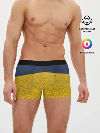 Мужские трусы боксеры / Рапсовое поле