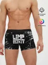 Мужские трусы боксеры / Limp Bizkit