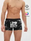 Мужские трусы боксеры / Limp Bizkit