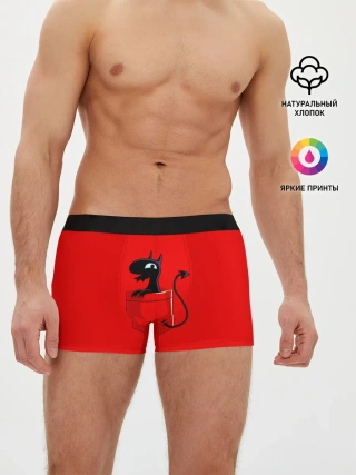 Мужские трусы боксеры / disenchantment