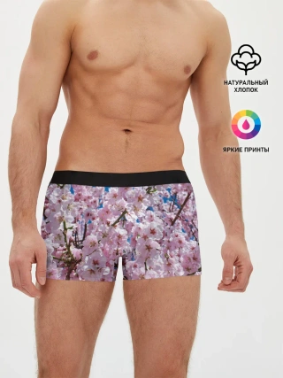 Мужские трусы боксеры / Цветущая Сакура