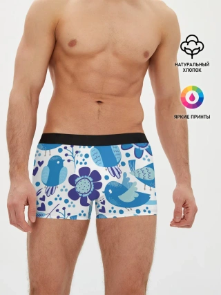 Мужские трусы боксеры / Воробушки