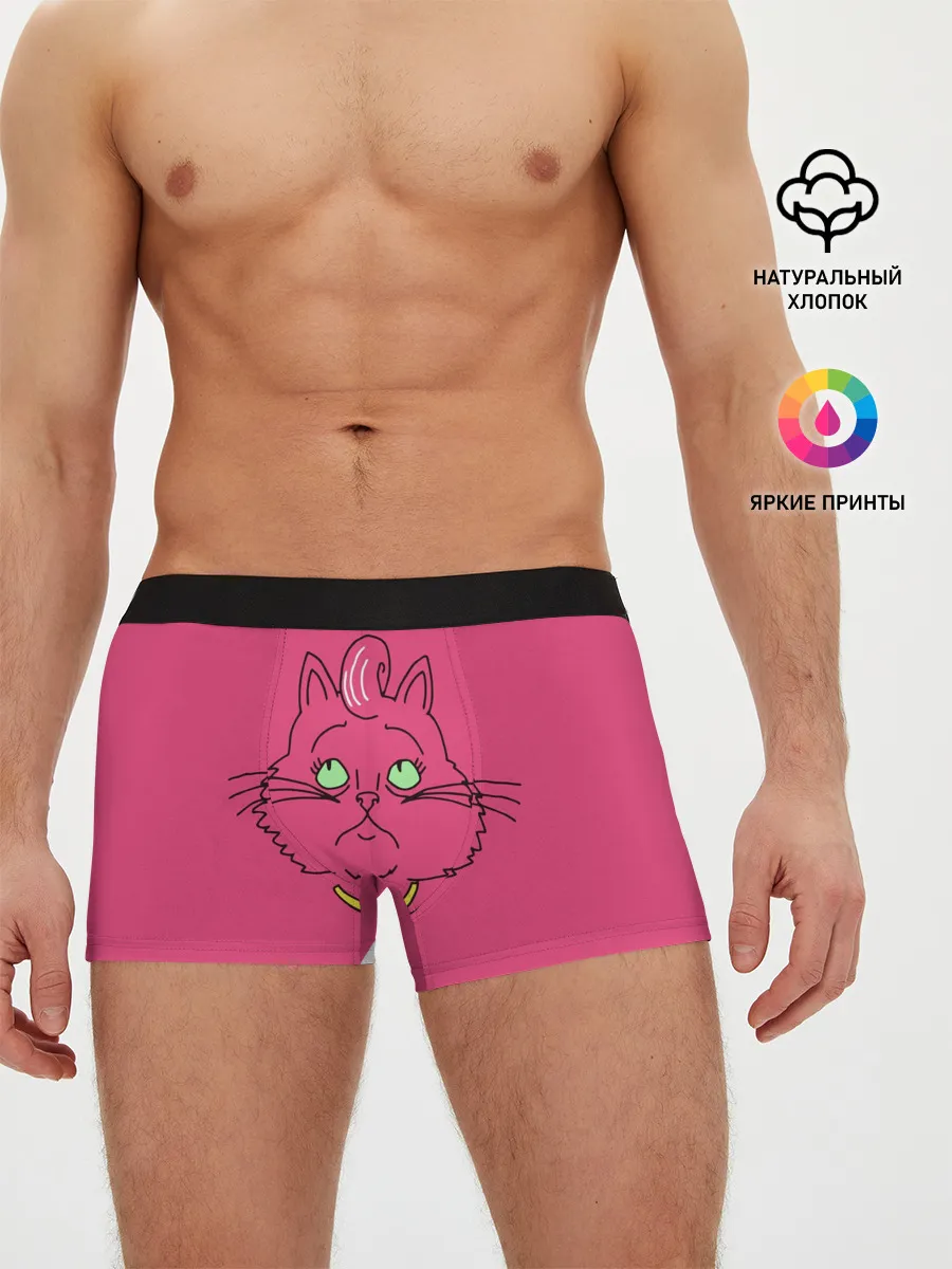 Мужские трусы боксеры / Princess Carolyn