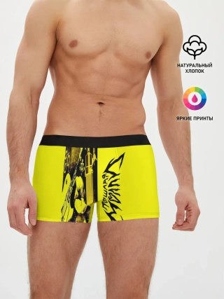 Мужские трусы боксеры / Пошлая Молли