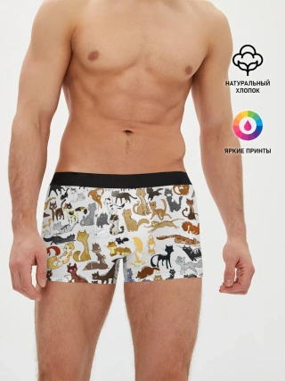 Мужские трусы боксеры / Котоколлаж 01