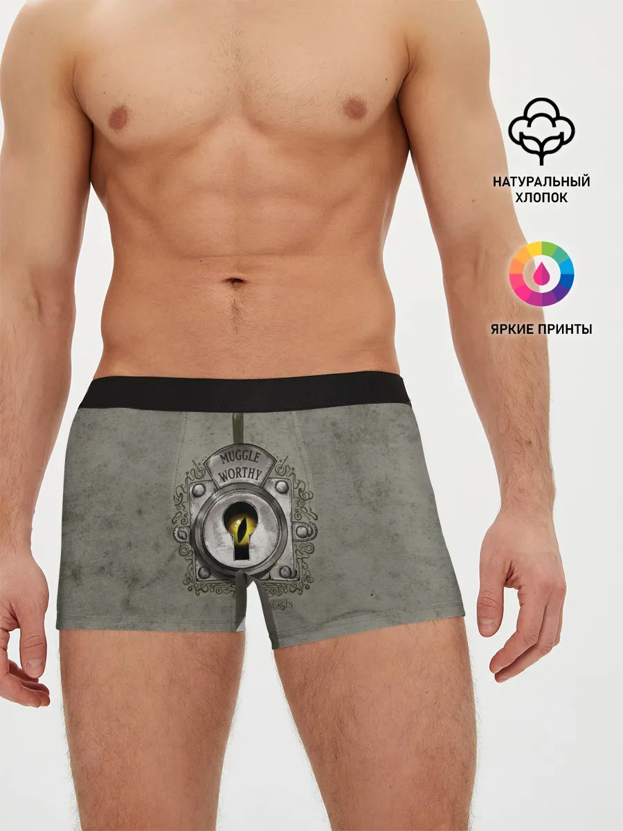 Мужские трусы боксеры / Muggle Worthy